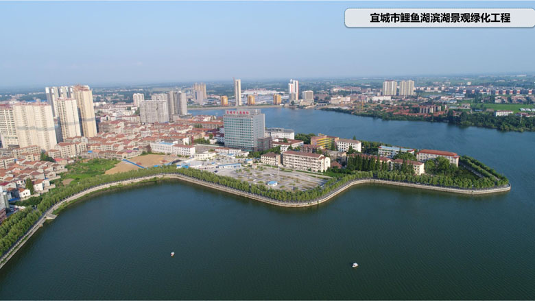 宜城鯉魚湖公園_10.jpg